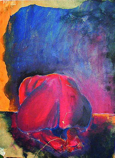 MINOLTA DIGITAL CAMERA